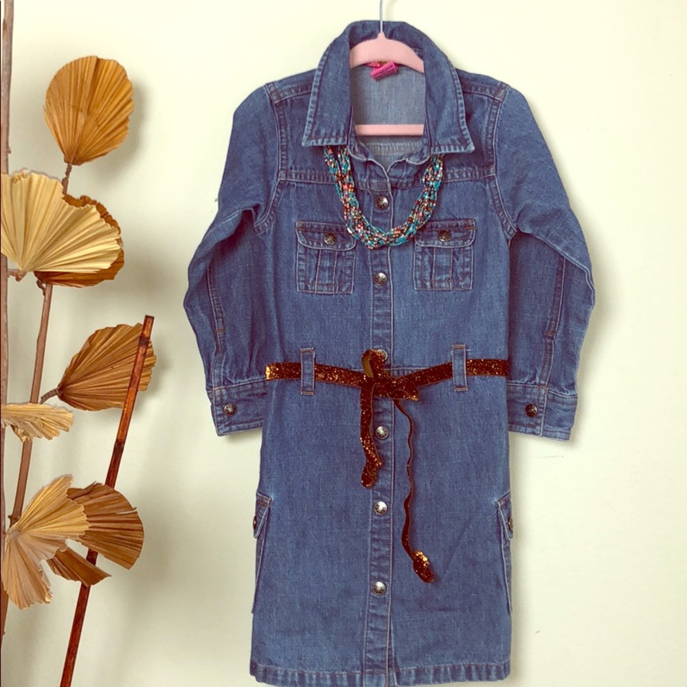 4T Organic Long Sleeve Jean Dress EUC